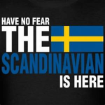 Scandinavian Internationaal Airport
