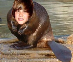 beiber haters