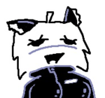 blockycat group