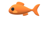 fish look like fish