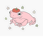 ~*-Raffie Aesthetics-*~
