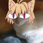 kaboomtryo2 followers