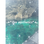 Flo’s Aesthetics