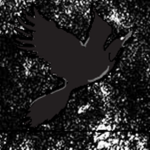 Blackbird Defence Recon