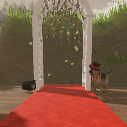 Watch a cat and dog get married
