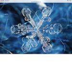 Snowflake are the best