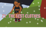 Zy_the Best clothes