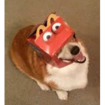 Cursed test studio