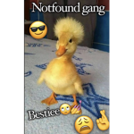 Not•found gang