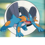 swampert group