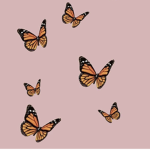 Beautiful Butterfliez