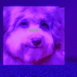 PURPLE DOG THING BOSSFIGHT icon