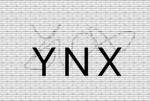 YNX ent.