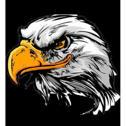 Eagle Systems ROBUX