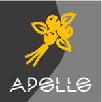 Apollo Transport