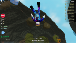 The Hunt