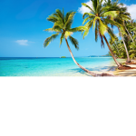 ROBLOX Tropical Cafè