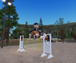 ~ HORSE ACADEMY ~