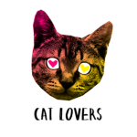 Wild And Domestic Cats And Kittens Admirers