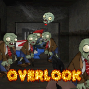 ds overlook