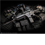 U.S Armed Forces navy seals