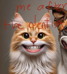 Cat's Dentist