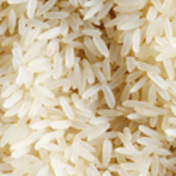 Rice Αrmy's Place Number: 0