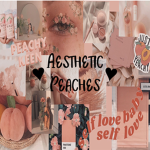 ~Aesthetic_Peaches~