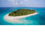 Gods Of The Islands
