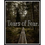 Tears of Fear.