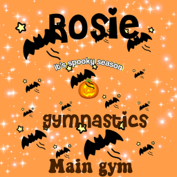 (MAIN GYM!) Rosie Gymnastics