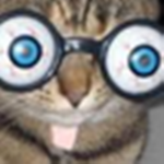 The Random People Of Roblox.
