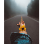 Lilyannagymnast