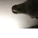 TheUglyGrandpaFanGroup