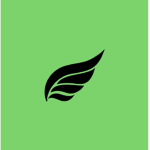 indieJet