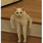 [ Content Deleted 8140050 ]