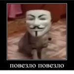 XD RoflCholting