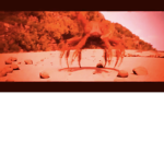 Crab army or Johnny plays group