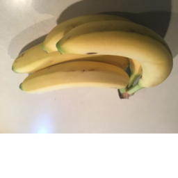 Banana Hangout