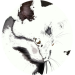 A Panduci Tanács