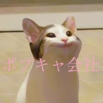 ポプキャ会社