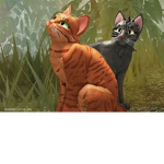 Warrior cats, The ultimate Role-play!