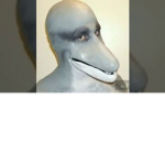 poopy poo ant
