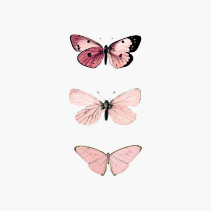 pink Roblox decal