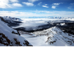 The Donation Tundra