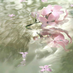 ୨୧