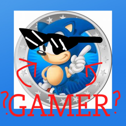 cart ride into SONIC GAMER for ADMIN