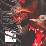 K9 CREW!