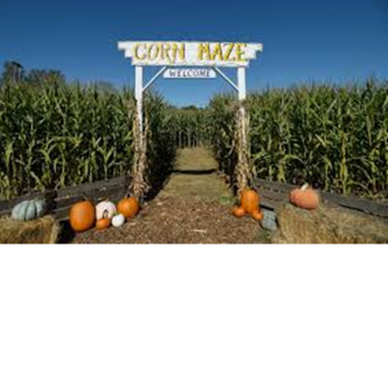 Corn Maze Tycoon