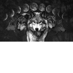 Wolf Assassins/enlist Hangout